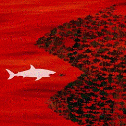 Sociale Verkiezingen